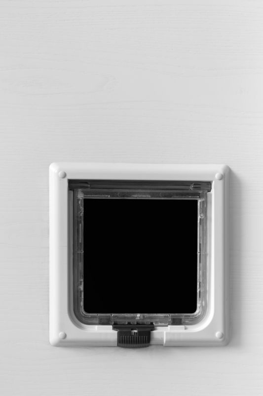 Outdoor Cat Door Solutions