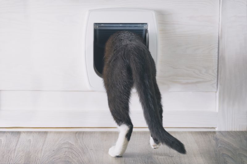 Custom Cat Door Fit