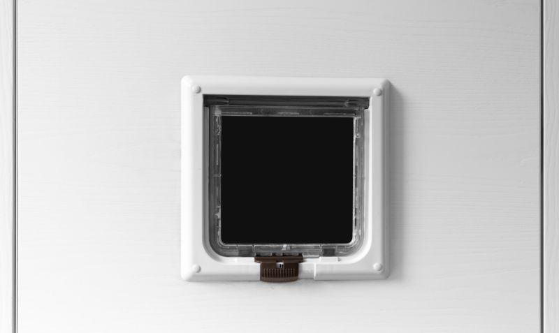 Choosing the Right Service